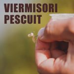 VIERMISORI PESCUIT