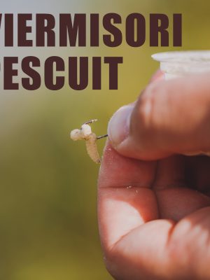 VIERMISORI PESCUIT