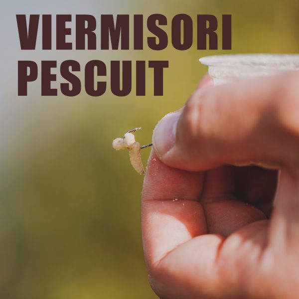 VIERMISORI PESCUIT