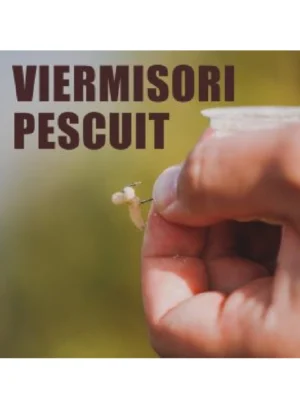 VIERMISORI PESCUIT