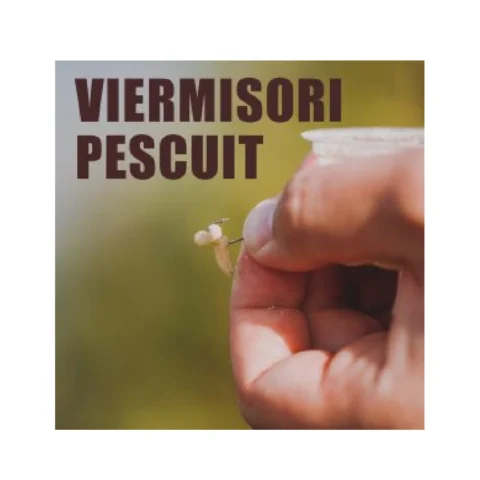 VIERMISORI PESCUIT