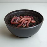 RÂME ROSII GROASE - R3 - 10 buc